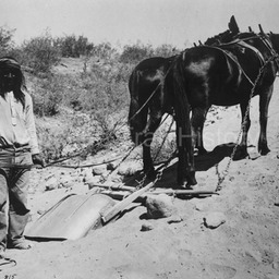 1906-0614-Apache Indian Laborer with Scraper Livingstone